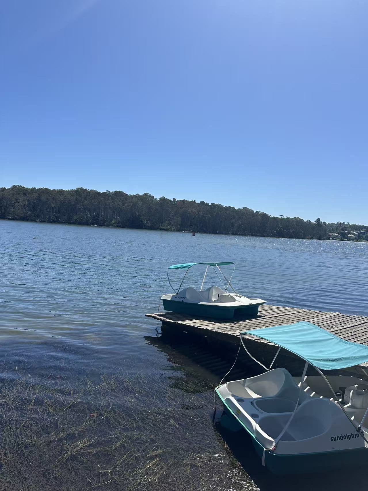 Narrabeen Lagoon Trail: Sydney’s Scenic Dog-Friendly Lakeside Escape